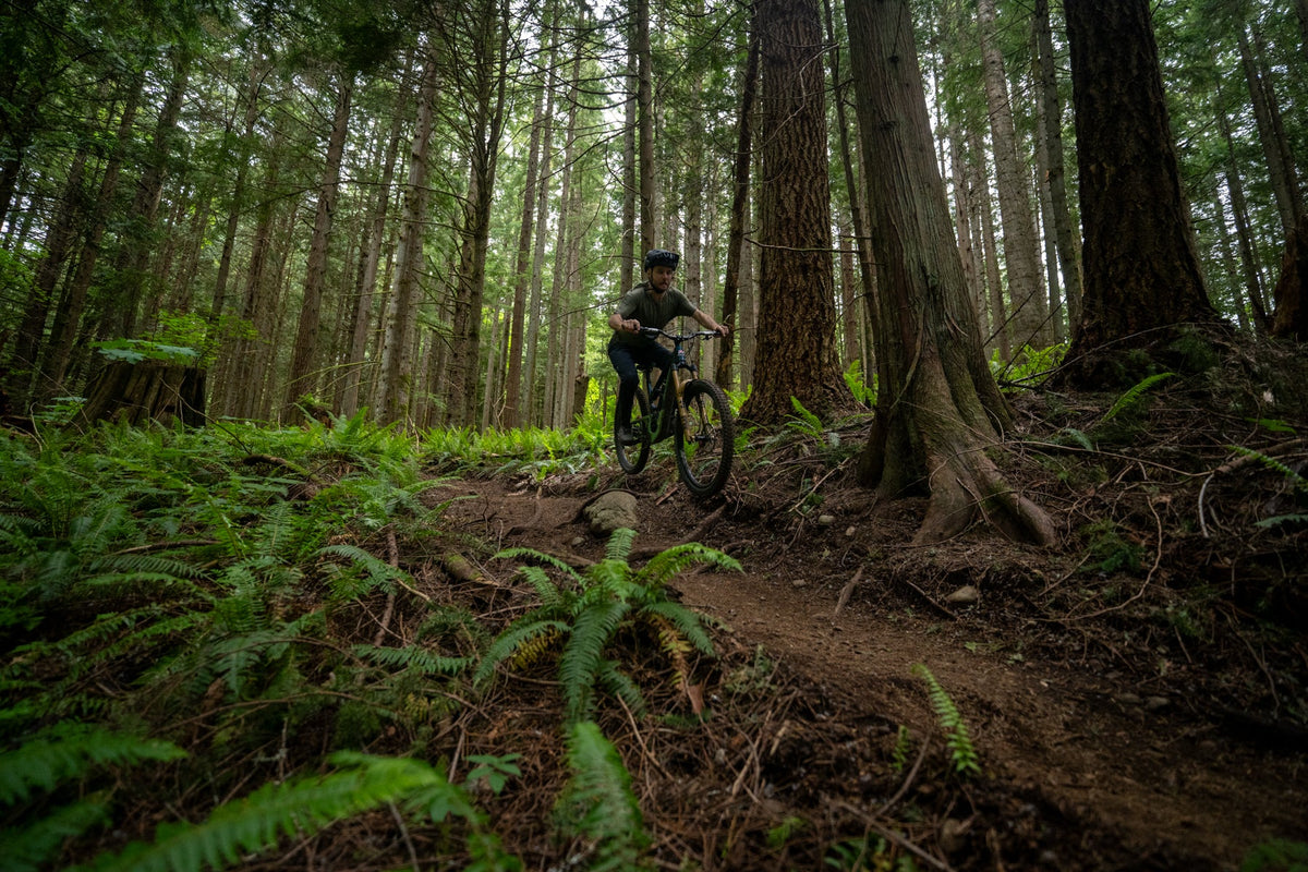 EVO 12 - BLISTER Review